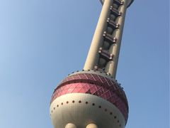 -东方明珠国际旅行社有限公司