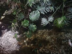 -聚缘堂·海鲜私房菜(松岭路店)