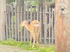 -广富林郊野公园