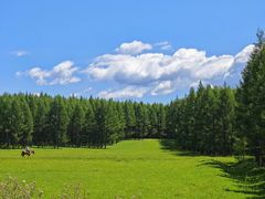 -塞罕坝国家级自然保护区