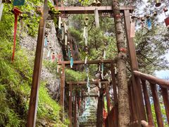 -秦岭天竺山生态文化旅游景区