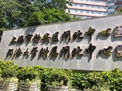 -上海市静安区闸北中心医院