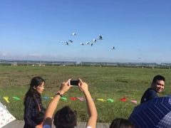-盐城丹顶鹤湿地生态旅游区
