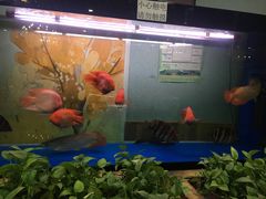 -大草原清真饭庄(沙河店)