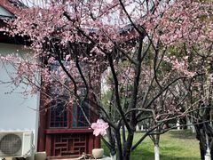 -堤角公园