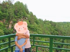 -茅兰沟国家森林公园