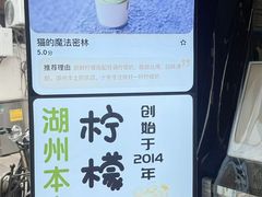 -猫的魔法密林(衣裳街店)