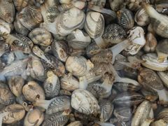 -宾朋海鲜特色美食餐厅·纯手工鲅鱼水饺(兴海路店)