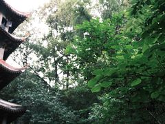 -成都杜甫草堂博物馆