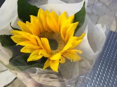 -牛炙烤肉(车公庙店)