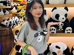 -灵玲国际马戏城