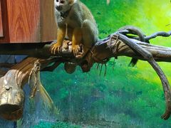 -华夏文旅海洋公园