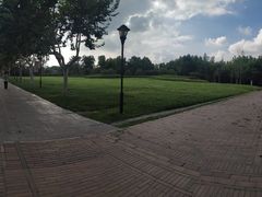 -东园小馆·早茶·淮扬小炒(宋夹城店)