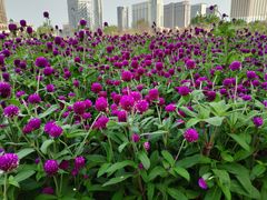 -龙环葡韵住宅式博物馆