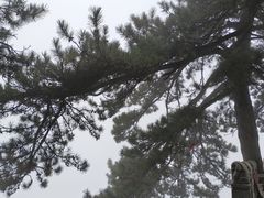 -终南山南五台景区