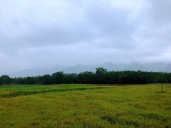-秦始皇帝陵博物院-丽山园