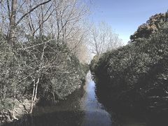 -上海滨江森林公园