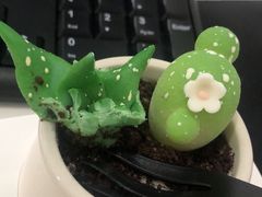 -85度C(生甜甜圈研究工坊·上海平凉店)