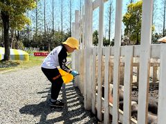 -前小桔亲子创意农场·草莓采摘·露营烧烤