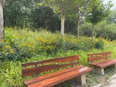 -翠湖国家城市湿地公园