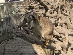 -宁波野生动物园