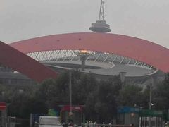 android_upload_pic-南京奥林匹克体育中心-体育馆