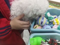-宠颐生宠物医院·综合诊疗(先锋分院)