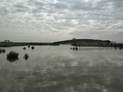 -南大港湿地风景区