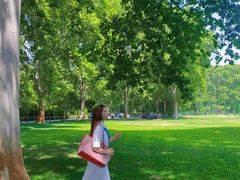 -河南省黄河迎宾馆