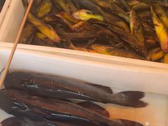 -江湖水乡铁锅炖魚(周庄嘉园店)