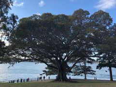 -悉尼海港大桥