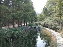 -白水寺森林公园