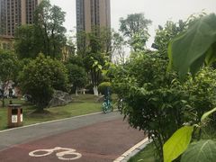 -府河摄影公园