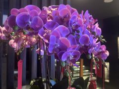 -上足·影院足道·SPA(红岭店)