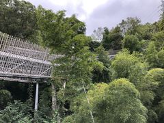 -梅峰山地公园