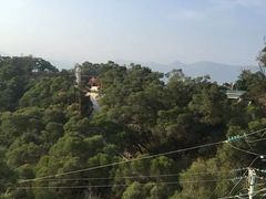 -金鸡山公园