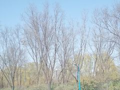 -森林公园(尖草坪区)