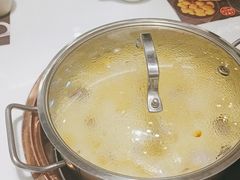 -洪氏嗨捞·猪肚鸡火锅(阳光天地店)