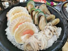 扇贝-丽江庭院之爱在路上(西单店)