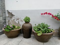 -龙湖东院农庄(乡间小路店)