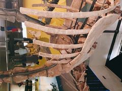 -湖南省地质博物馆