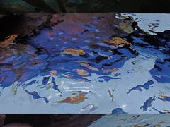 -上海海洋水族馆