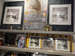 -浣熊唱片店(上海影城店)