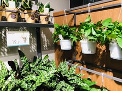 -鹿岛会员店 (龙湖三千集天街店)