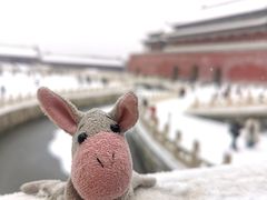 -故宫博物院(故宫)
