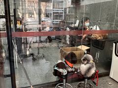 -宠物家(大兴旧宫店)