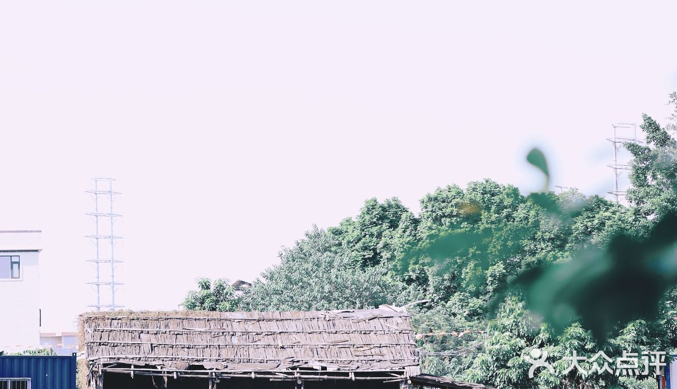 顺德环境超美的私房菜。