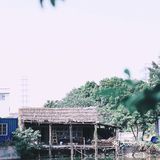 顺德环境超美的私房菜。