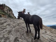 -灵山