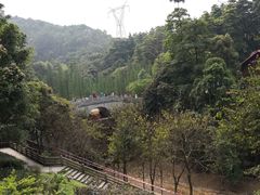 -广州市帽峰山景区